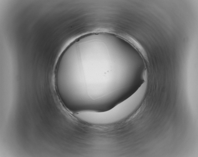 X0000111891340200907301150