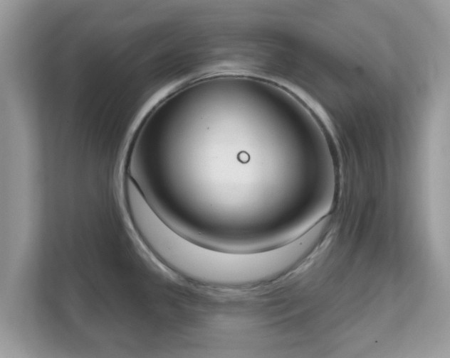 X0000111891341200907301150