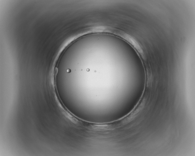 X0000111891342200907301150