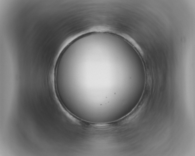 X0000111891343200907301150