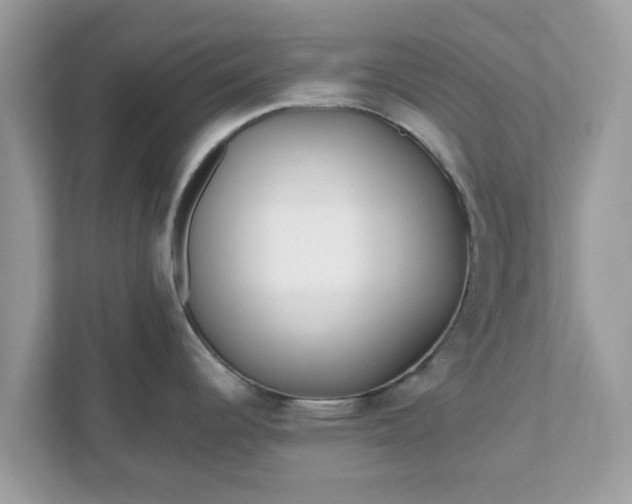 X0000111891344200907301150