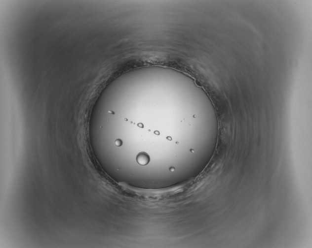 X0000111891345200907301149