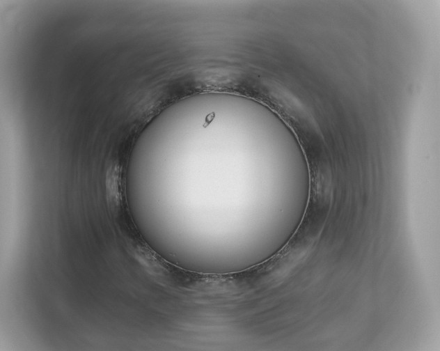 X0000111891346200907301149