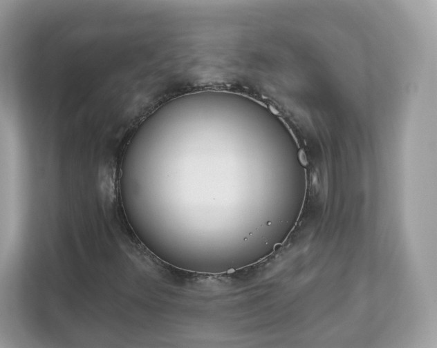 X0000111891348200907301149