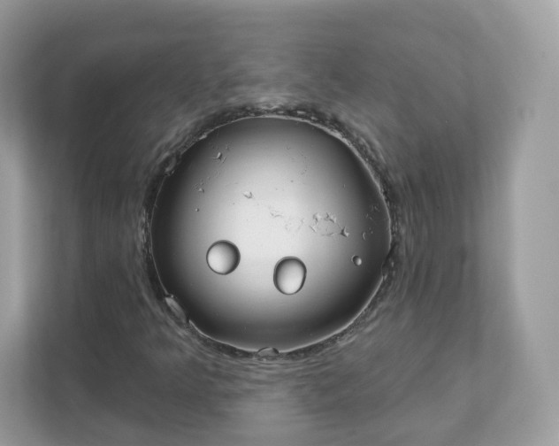 X0000111891349200907301149