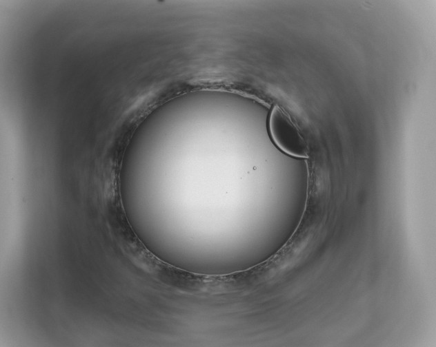 X0000111891350200907301149