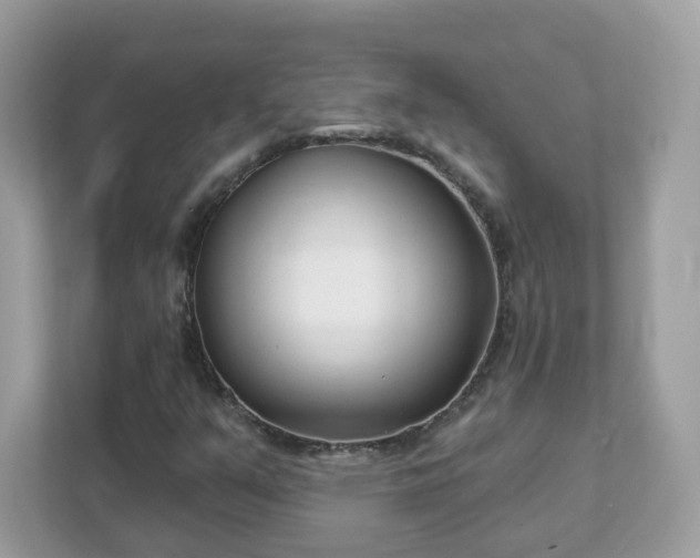 X0000111891351200907301149