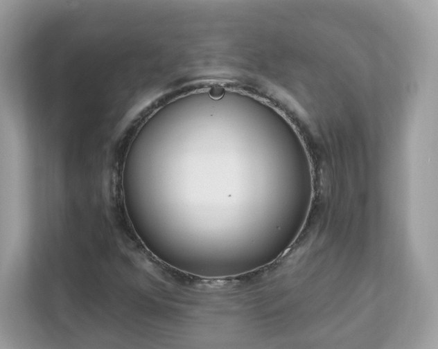 X0000111891352200907301149