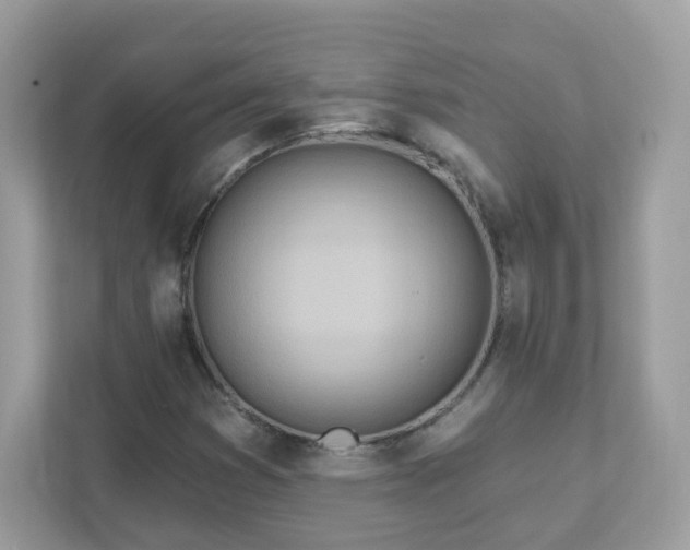 X0000111891353200907301149