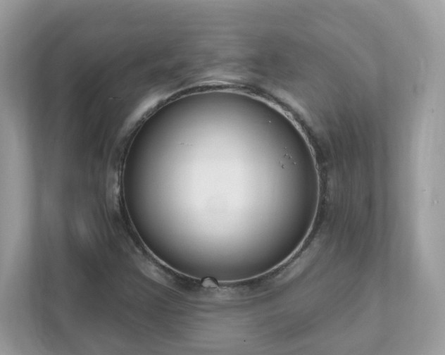 X0000111891355200907301149