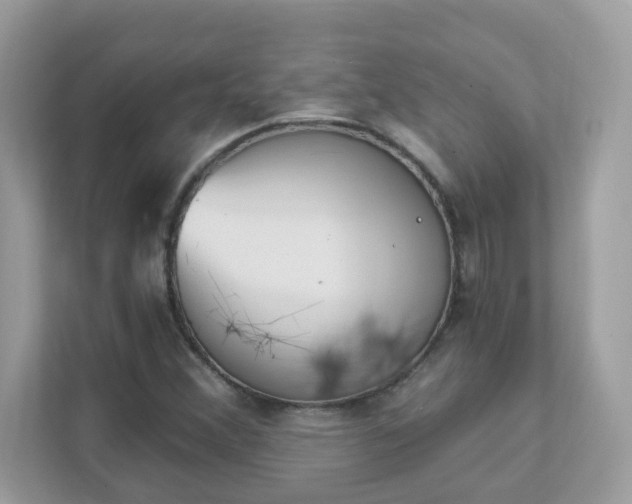 X0000111891356200907301149