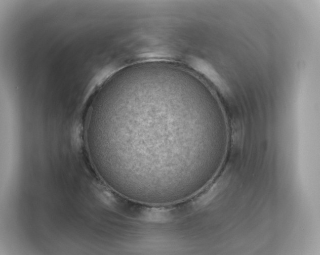 X0000111891357200907301149