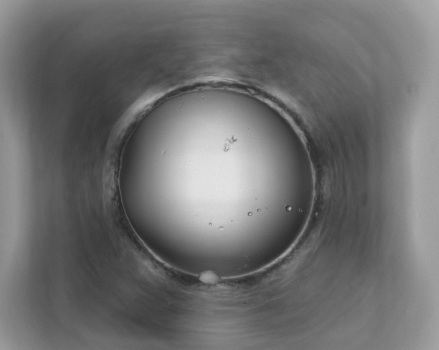 X0000111891359200907301149