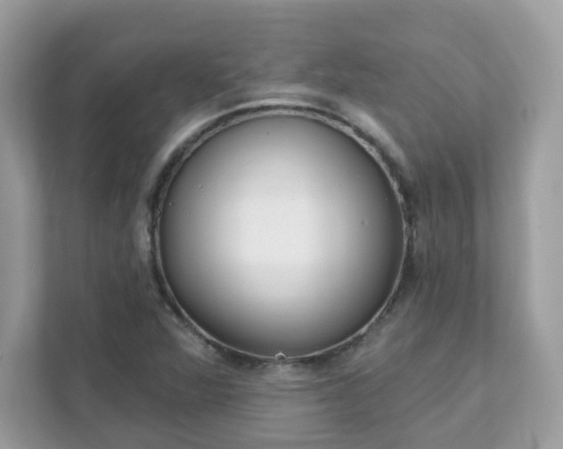 X0000111891360200907301149