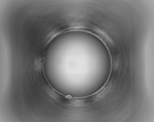 X0000111891361200907301149