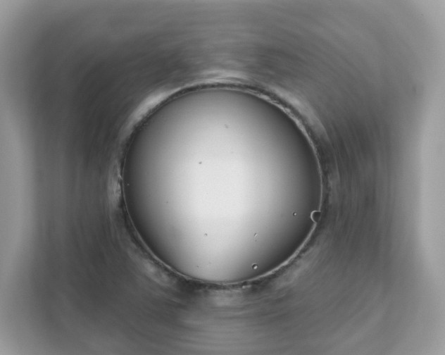 X0000111891363200907301149