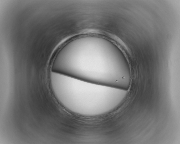 X0000111891364200907301149