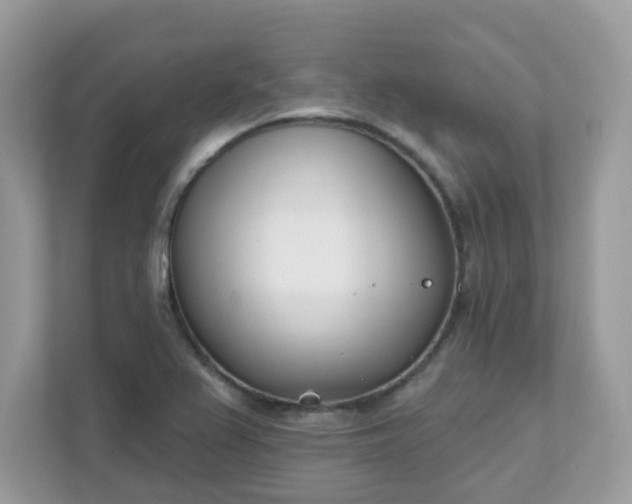 X0000111891367200907301149