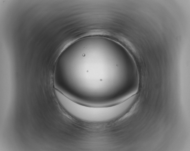 X0000111891369200907301148