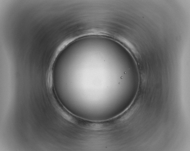 X0000111891371200907301148