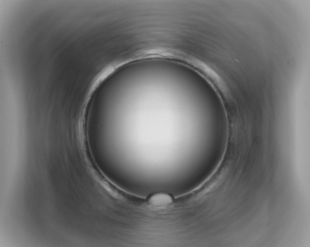 X0000111891373200907301148