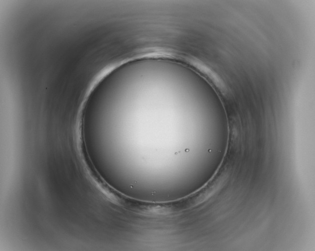 X0000111891375200907301148