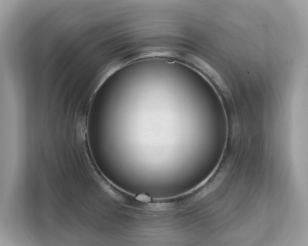 X0000111891377200907301148