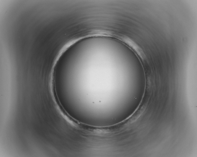 X0000111891379200907301148