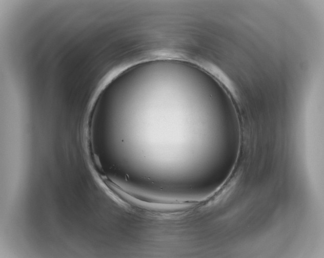 X0000111891381200907301148