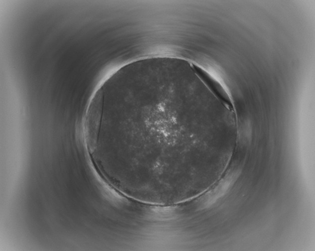 X0000111891389200907301148