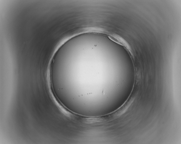 X0000111891391200907301148