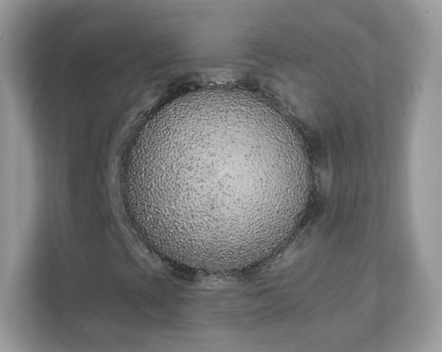 X0000111891393200907301148