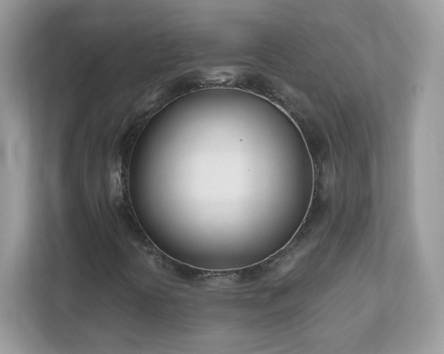 X0000111891394200907301148