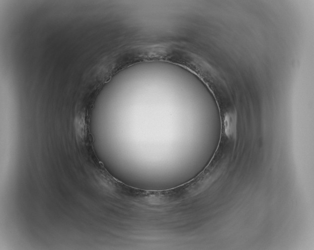 X0000111891395200907301148