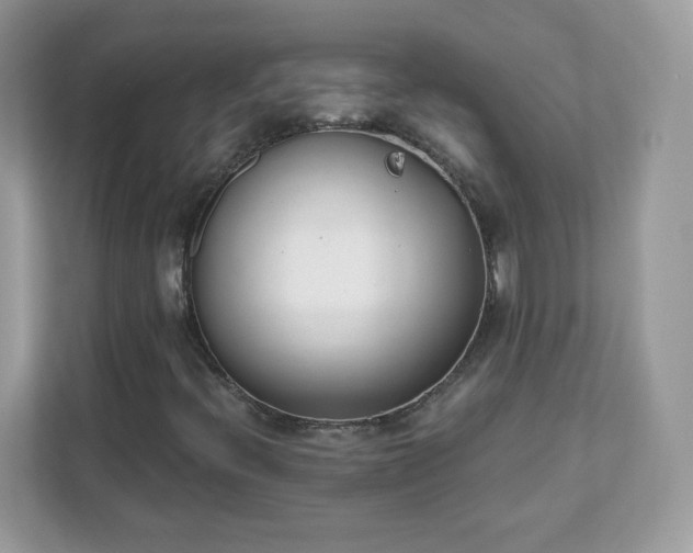 X0000111891396200907301148