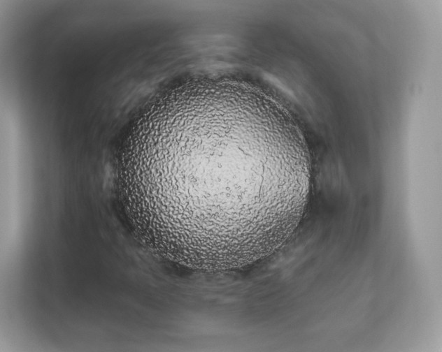 X0000111891397200907301148