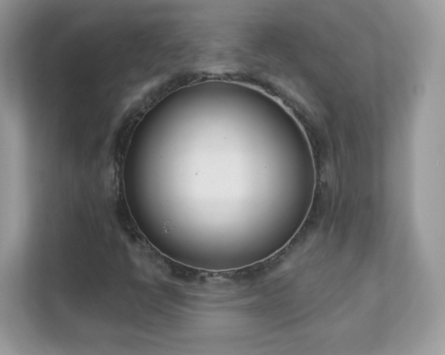 X0000111891398200907301148