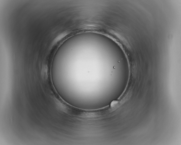 X0000111891402200907301148