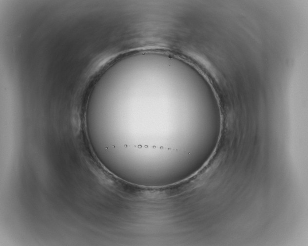 X0000111891407200907301148