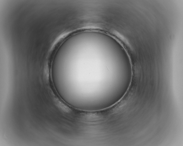 X0000111891408200907301148