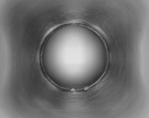 X0000111891412200907301148