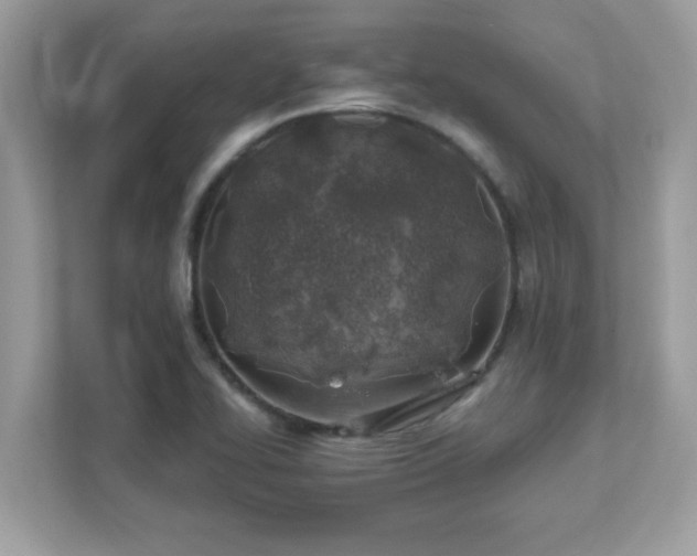 X0000111891414200907301148