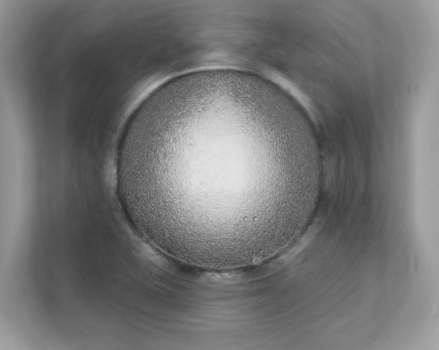 X0000111891415200907301148