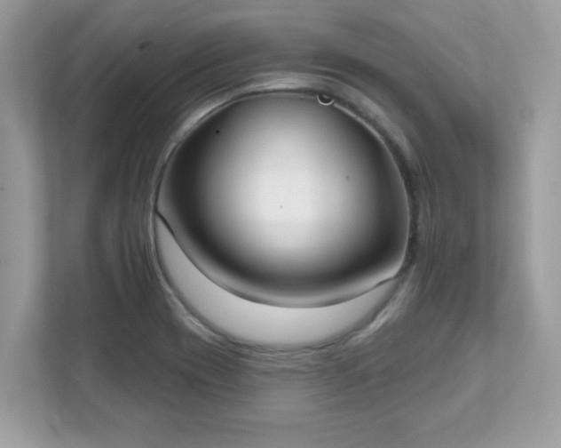 X0000111891417200907301148