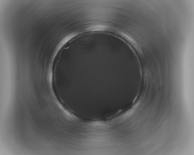 X0000111891418200907301148