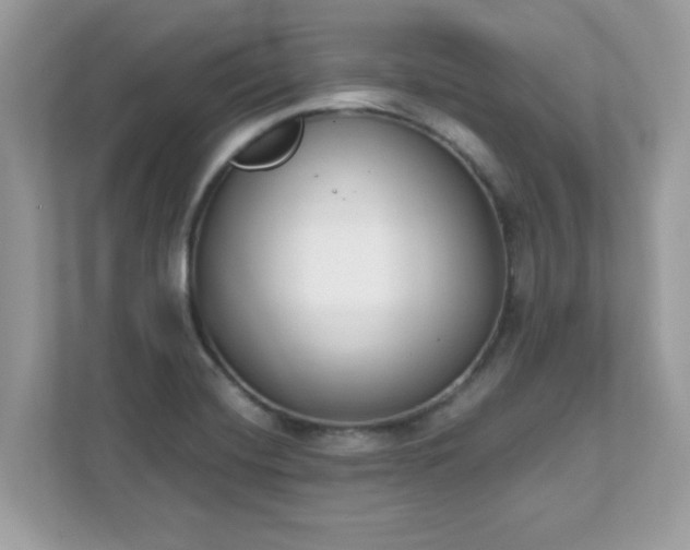 X0000111891420200907301148