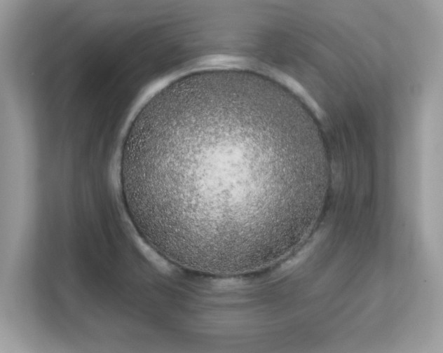 X0000111891421200907301148