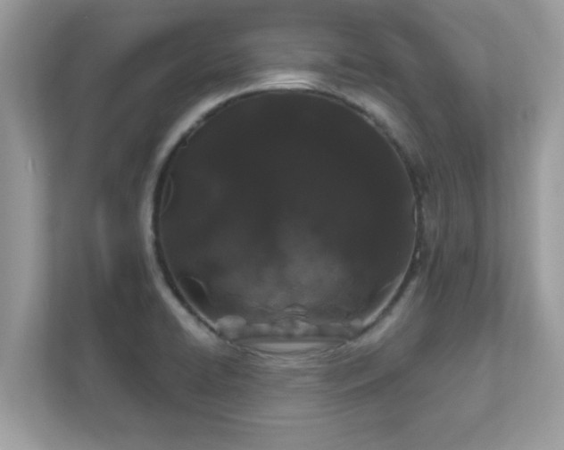 X0000111891422200907301148