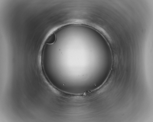 X0000111891424200907301148