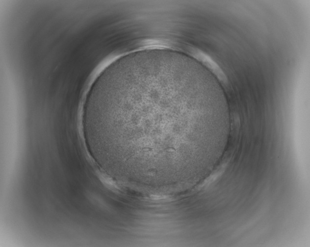 X0000111891427200907301148